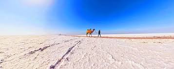 Gujarat Delight – Desert & City Escape