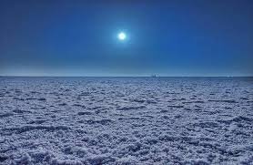 White Rann Festival Escape