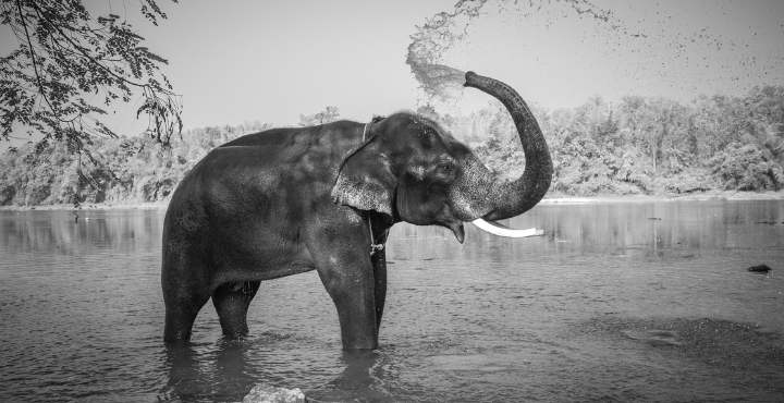 The Grand Kerala Experience